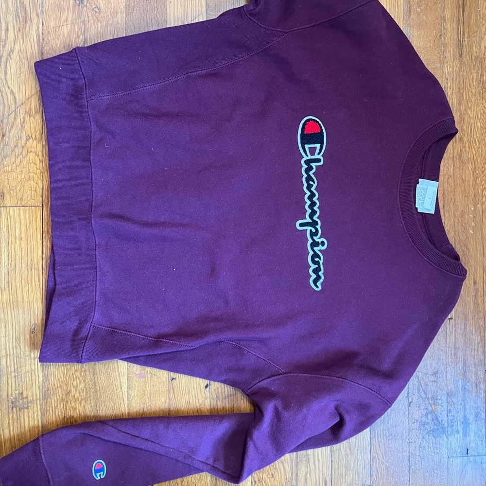 Urban Outfitters Champion reverse weave sweatshirt